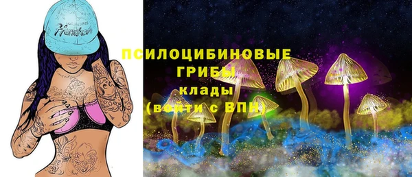 шишки Инсар