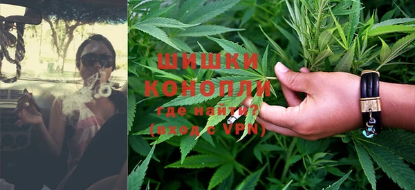 шишки Инсар