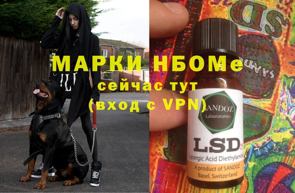 шишки Инсар
