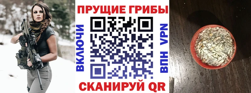 Псилоцибиновые грибы прущие грибы  где найти наркотики  Новочеркасск 
